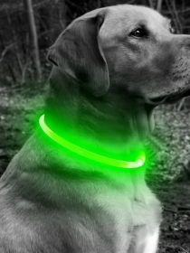 Silicone Cuttable LED Illuminated USB Rechargeable Dog Collar - Green